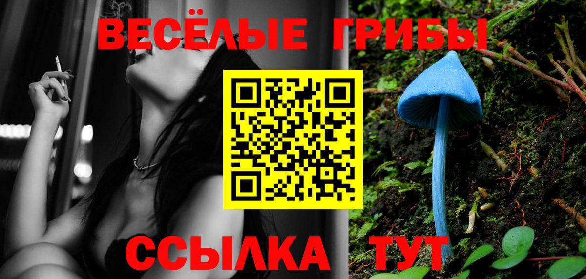 Псилоцибиновые грибы мицелий  Вход с VPN  Ленинск-Кузнецкий 