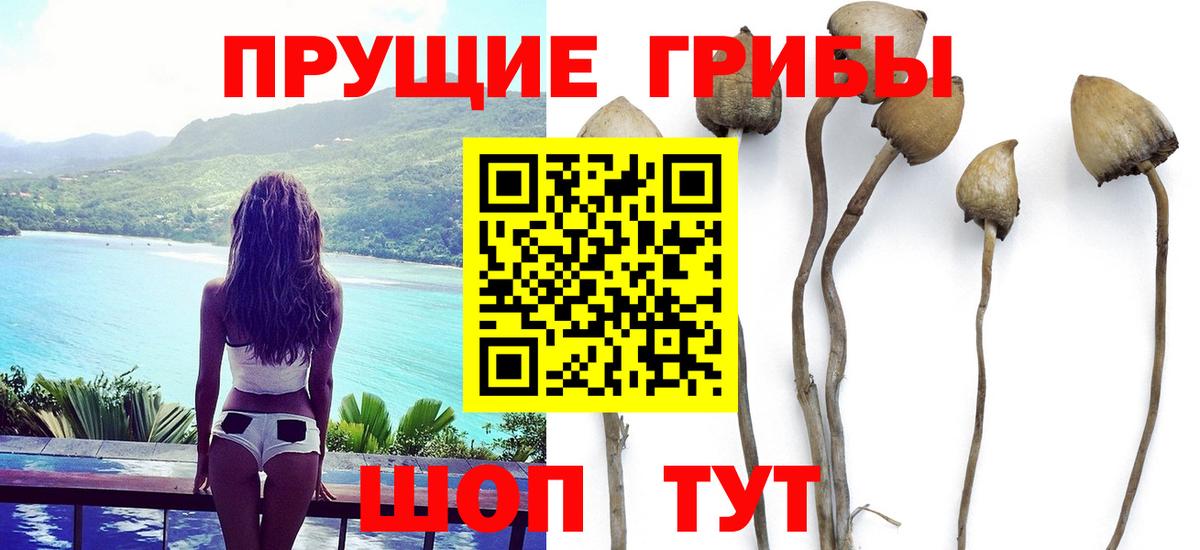 Галлюциногенные грибы MAGIC MUSHROOMS Ленинск-Кузнецкий